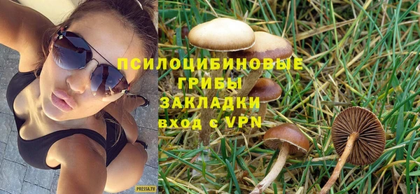 PSILOCYBIN Бородино